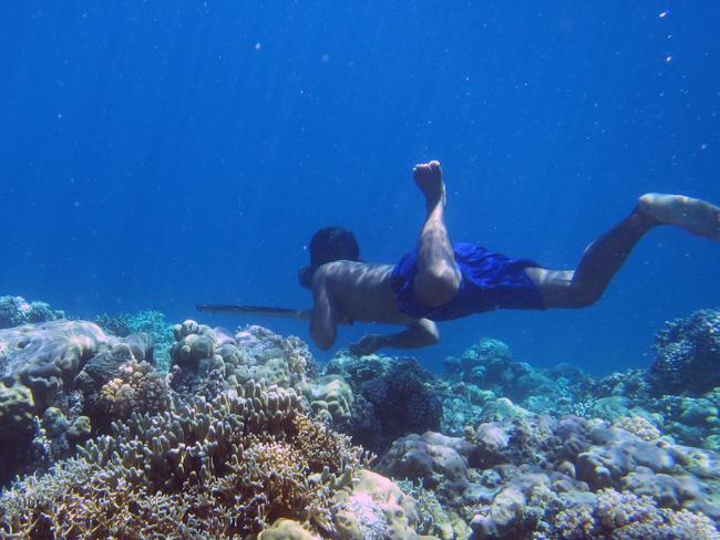 A Bajau diver hunting fish underwater using a traditional spear off the islands of Indonesia. Picture: Melissa Llardo