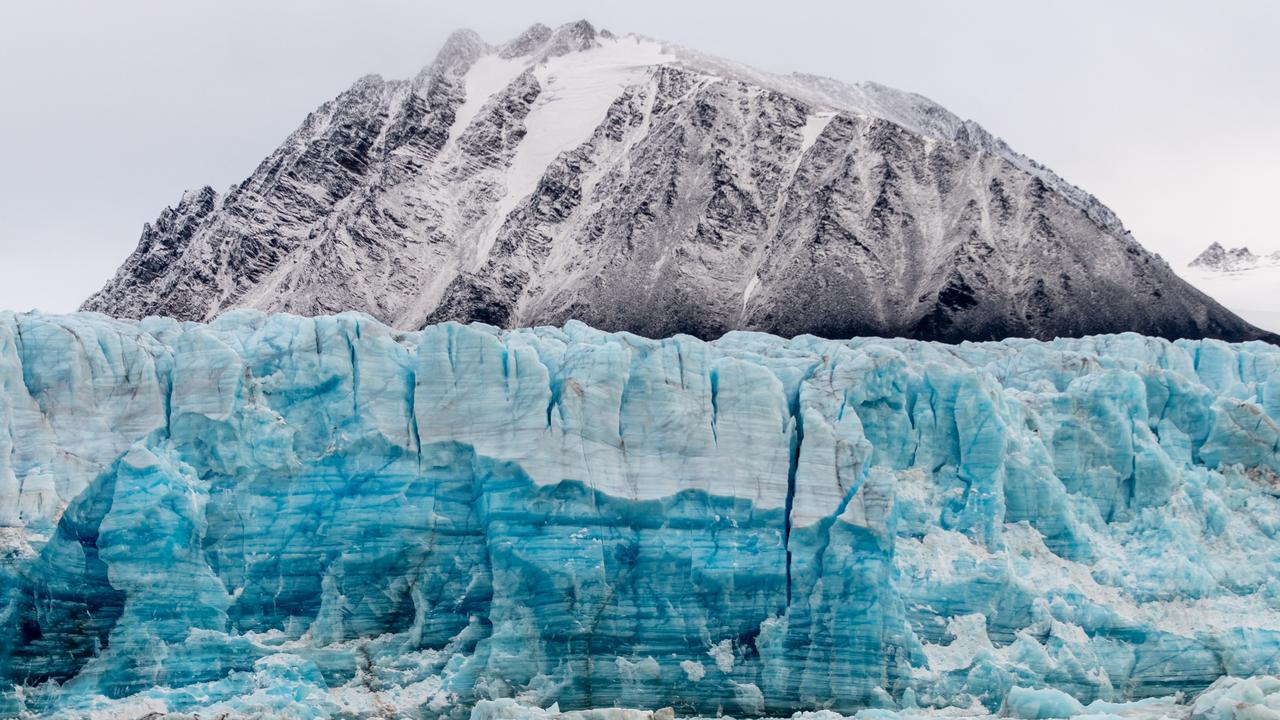 The island was often used for whaling exhibitions. Picture: Raphael Sane / Biosphoto / Biosphoto via AFP