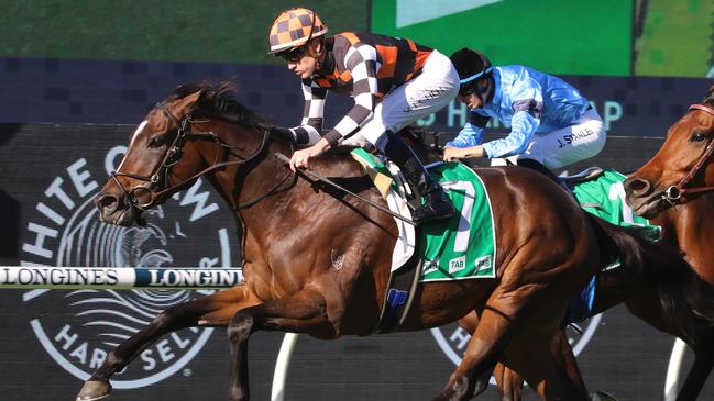 Fawkner Park has moved on from country cup to the Q22 on Saturday. Picture: Grant Guy.