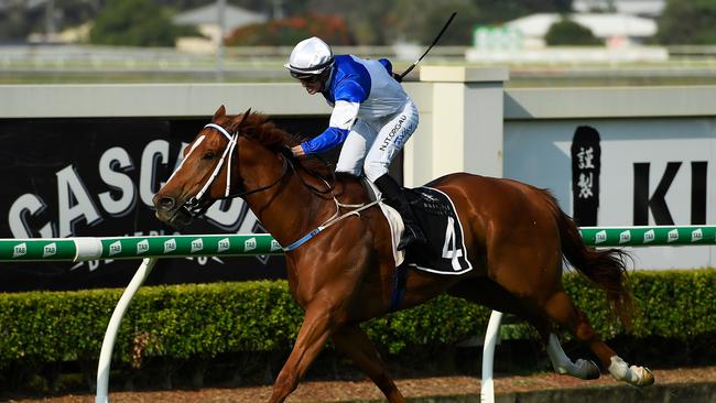 Jockey Bubba Tilley produced a well-judged ride on Spurcraft at Doomben. Picture: AAP