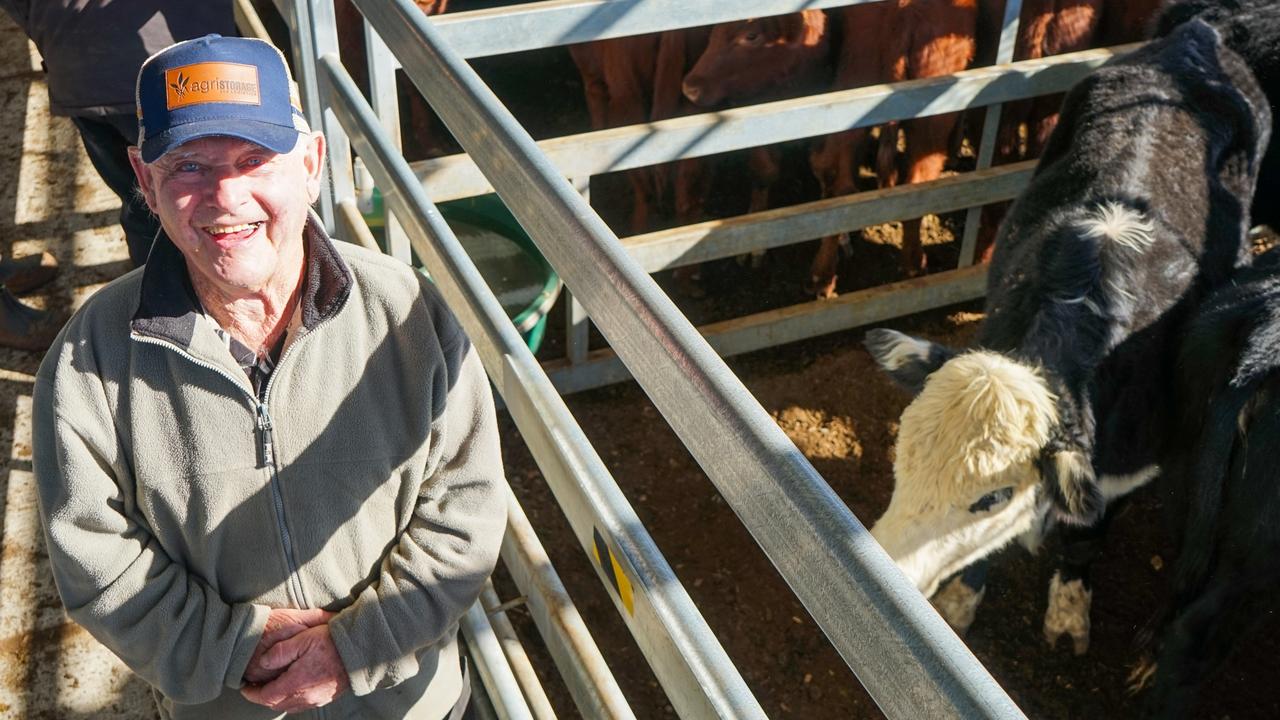 Cattle prices defy seasonal odds at Ballarat