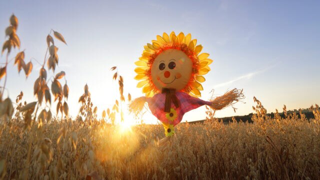 ASX stocks are helping to grow the food needed desperately around the world. Picture: Getty Image