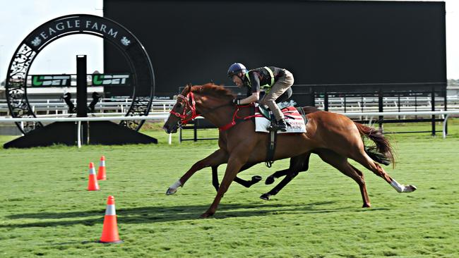 The first trackwork gallops at the refurbished Eagle Farm earlier this month. Picture: Annette Dew