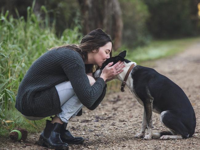 Community’s ‘miracle’ mission to reunite doggo with owner