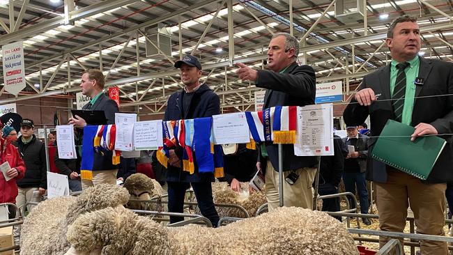 Action from the Australian Sheep and Wool Show Merino sale at Bendigo.