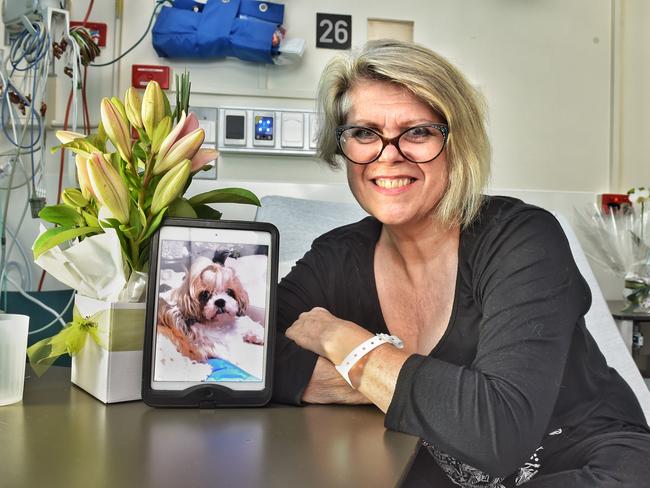 Dr Sally Cockburn was awakened on Sunday morning by her shih-tzu–cavalier cross Molly licking her face and whimpering. Picture: Tony Gough