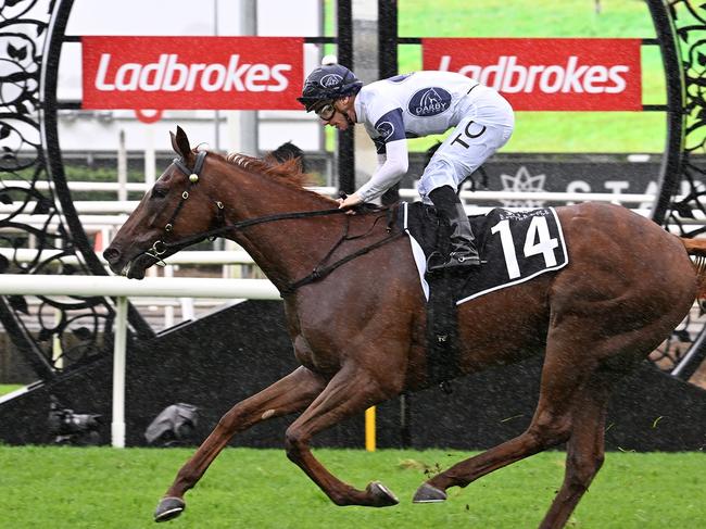 Jockey Tim Clark crosses the winning post on gelding Campaldino in the Group 3 Queen Elizabeth II Cup (2400m) on a heavy track at Eagle Farm on Saturday, May 31, 2025. Picture: Grant Peters, Trackside Photography