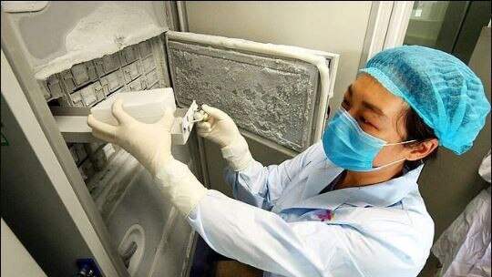 A scientist at the Wuhan lab. Picture: Supplied