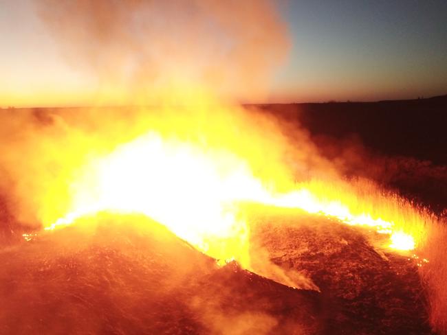 A forest fire burning not far from the nuclear power plant. Picture: AFP