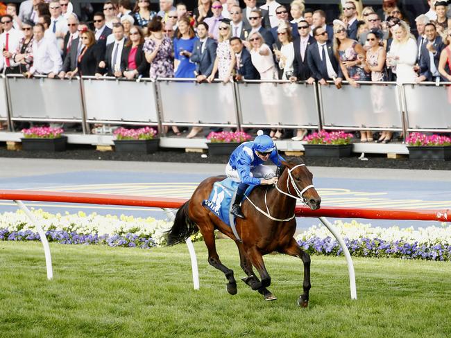 Something to behold: Winx races away from her rivals and on to a memorable Cox Plate victory. Picture: Colleen Petch