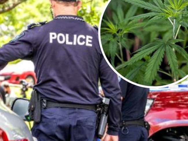 Police uncovered a cannabis growing set-up at a Capricorn Coast rural property. Generic image.