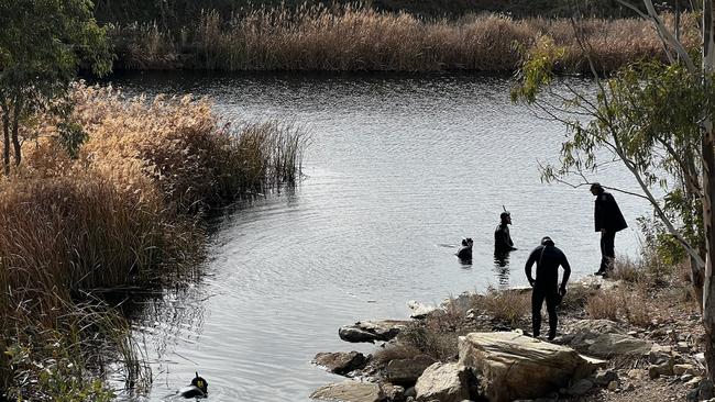 Task Force Southern is searching for the firearm believed to be used in the murder of Robert Atkins. Picture: NCA NewsWire/Emma Brasier