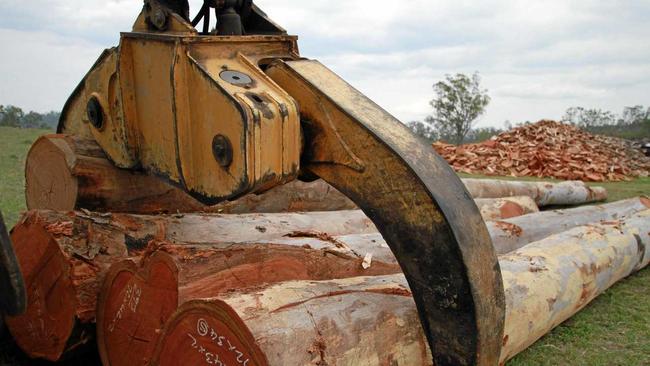 BOOM TOWN: 16 new full-time jobs will open to Maranoa locals with Queensland Cypress Supplies in Mungallala expanding. Picture: Paul Donaldson BUN301113SAW8