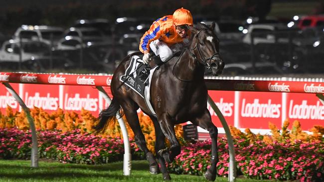 Imperatriz lands in Melbourne on Monday night. Picture: Pat Scala–Racing Photos