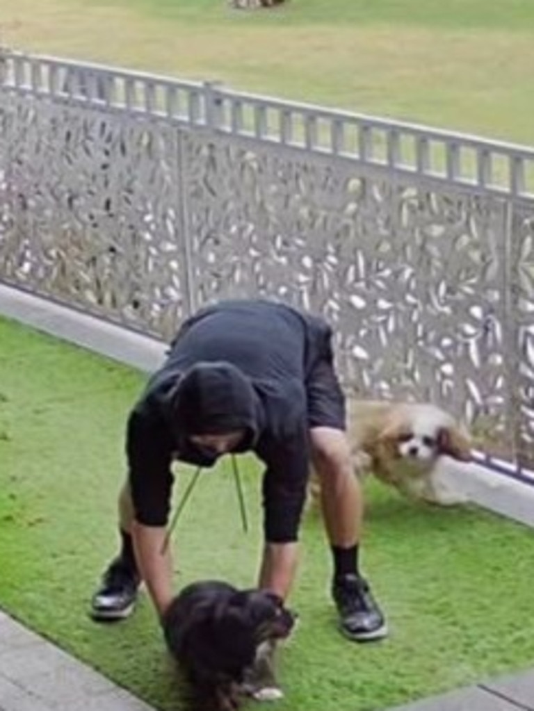 One of the men climbed the fence to grab the dogs. Picture: Facebook.