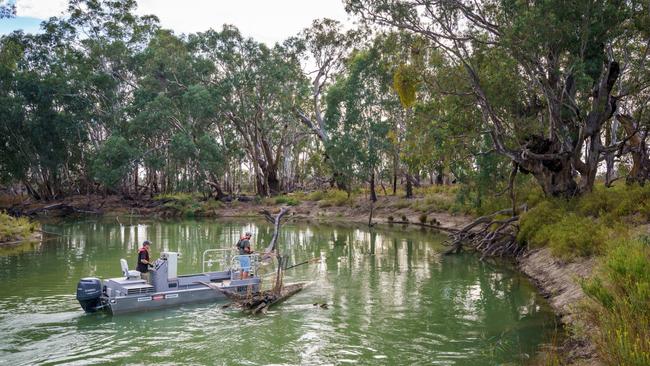 Arthur Rylah fisheries researchers on the Mullaroo Ck, near Lindsay Island.