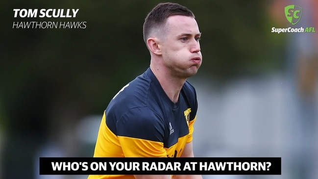 Jonathan Brown previews Hawthorn's SuperCoach prospects for 2019