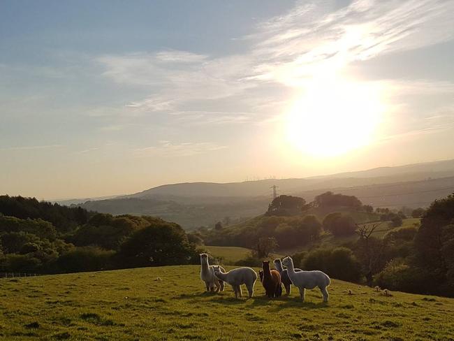 The cottage sits in the Welsh countryside. Picture: AirBnb