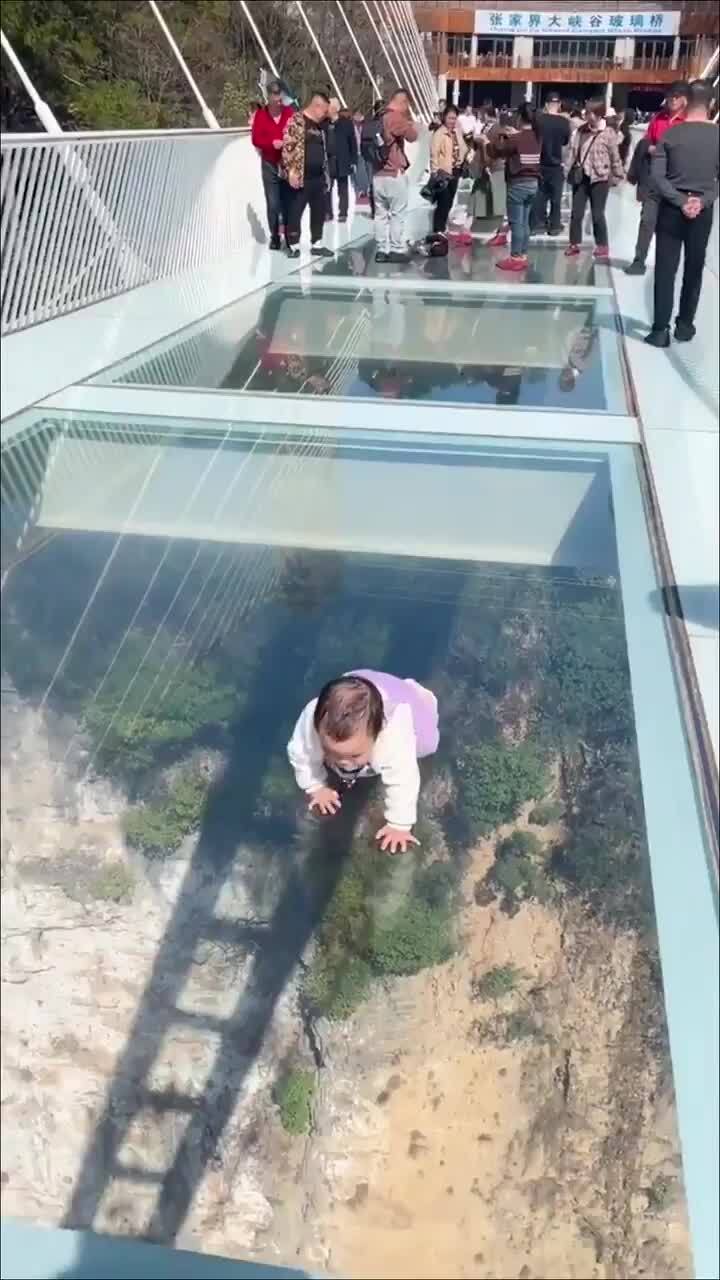 Baby fearlessly crawls on glass sky bridge