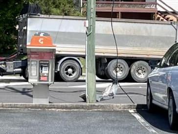 A truck has hit a power pole, causing power lines to fall on Beeville Road in Petrie. Picture: Isis Griffiths