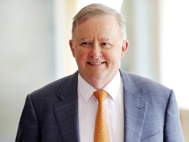 Anthony Albanese. Picture: Josh Woning.