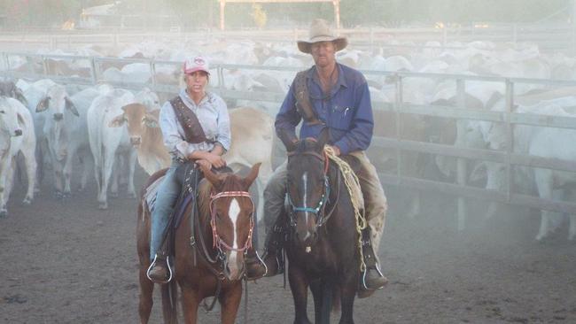 Some of the prized horses shot Picture: Supplied by Killarney Station.