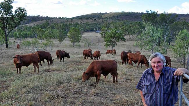 JAMBIN GRAZIER: Geoff Maynard runs Belmont Red cattle at Mt Eugene at Jambin in central Queensland. Picture: Contributed