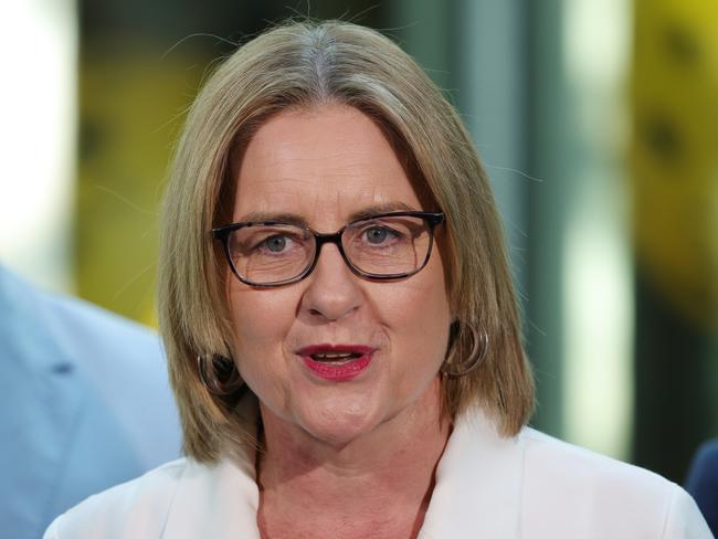 Victorian Premier Jacinta believes her loathed pet project was a key reason Labor was re-elected.. Picture: NewsWire
