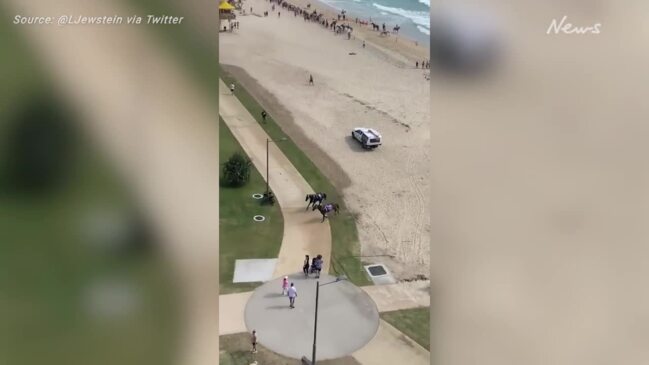 Horses run from Magic Millions beach race