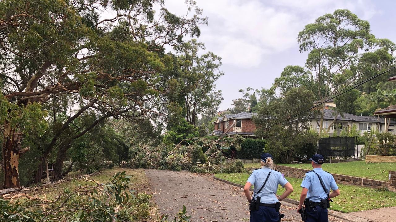 Police warn residents to stay indoors in Andrew St, Davidson, due to fears over stretched powerlines breaking. Picture: Jim O'Rourke.