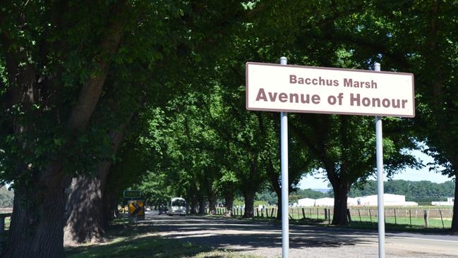 The Avenue of Honour is one of the best scenic drives in Victoria. Picture: visitbacchusmarsh.com.au