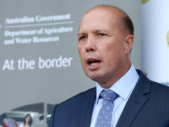 Home Affairs Minister Peter Dutton. Picture: Richard Dobson