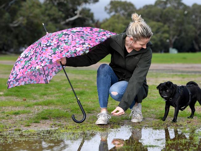 WET WEATHER. Kimberly Johansen of Norwood (0419239006) takes a walk in Victoria Park while there is a break in the weather as her pug Peggy is  a bit of a princess and doesn't like the rain. Picture: Tricia Watkinson