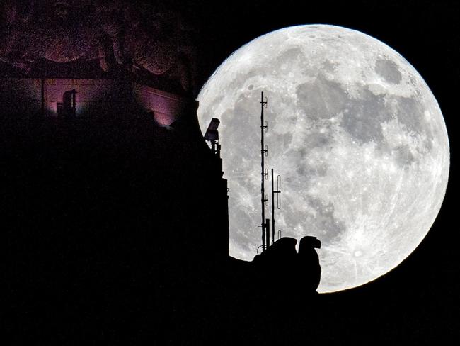 The moon rises behind the eagle sculpture high atop LeVeque Tower in Columbus, Ohio, Sunday, Nov. 13, 2016. On Monday, Earthlings will be treated to a so-called supermoon - the closest full moon of the year. Monday’s supermoon will be extra super - it will be the closest the moon comes to us in almost 69 years. And it won’t happen again for another 18 years. Picture: Adam Cairns/The Columbus Dispatch via AP