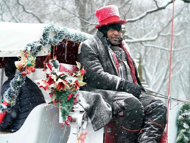 A carriage driver in Central Park January 6, 2025 in New York City as a major winter storm hits the Mid-Atlantic region. Picture: AFP