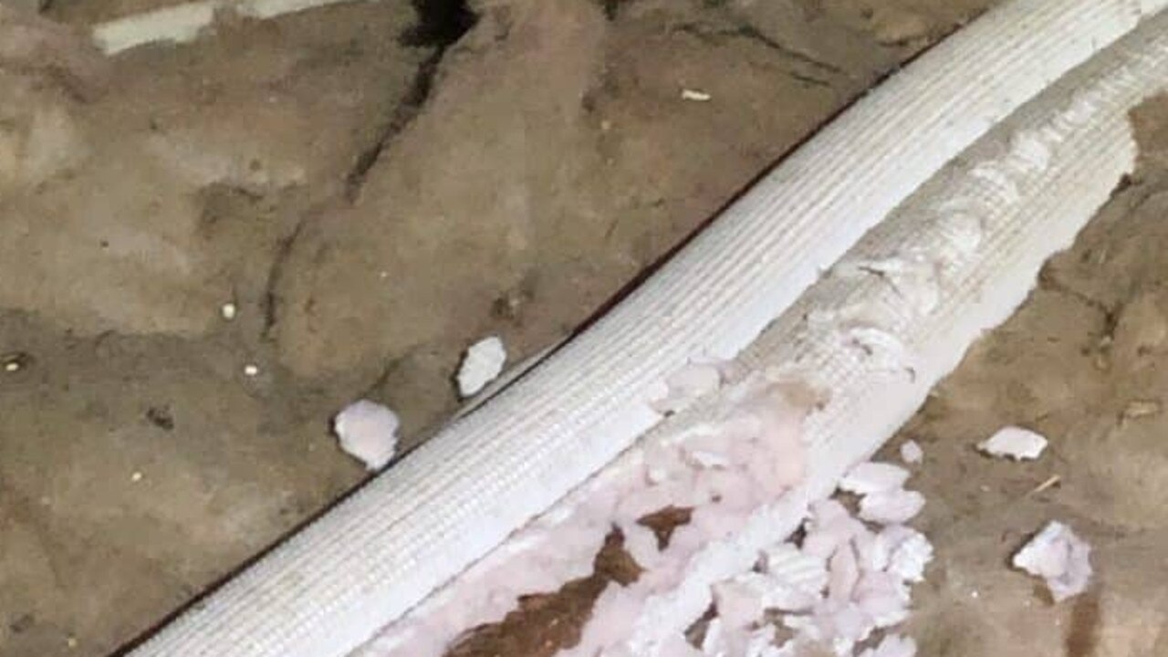 An air conditioner pipe that rodents have chewed through. The insulation started weeping and they drank off it. Picture: Blue Chip Pest Control