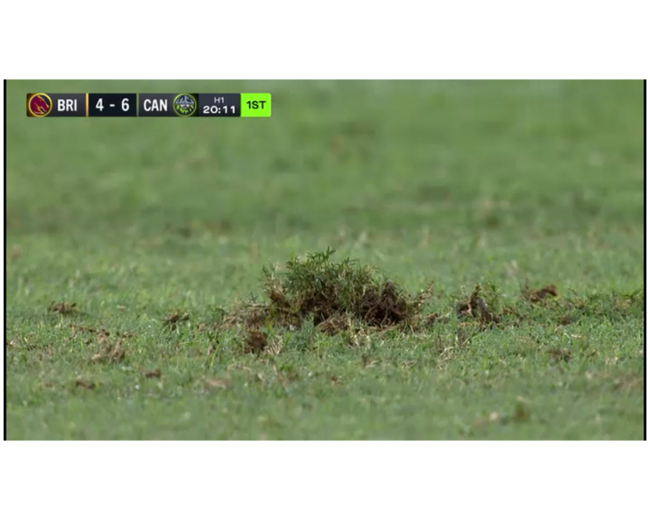 Scuffing of the Suncorp Stadium turf. Picture: Fox League