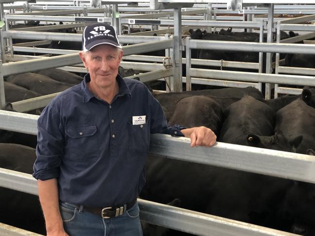 Producer Greg Shaw from Langdon Hill sold 28 Angus heifers to a top of 526c/kg or $2010 at Ballarat on February 12, 2021. Picture: Petra Oates