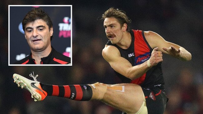 Essendon Joe Daniher Dodoro promo.
