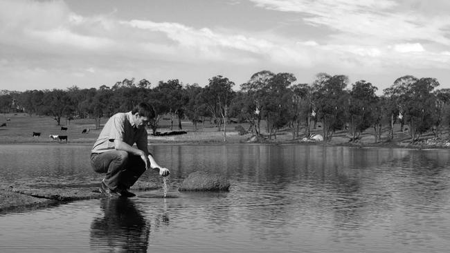 David Statham in a file image off Sundown Pastoral Co.