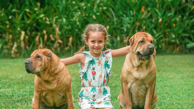 Gemma Chohdri’s five-year-old daughter, Elsie, with Brax and Mila. Picture: Glenn Campbell