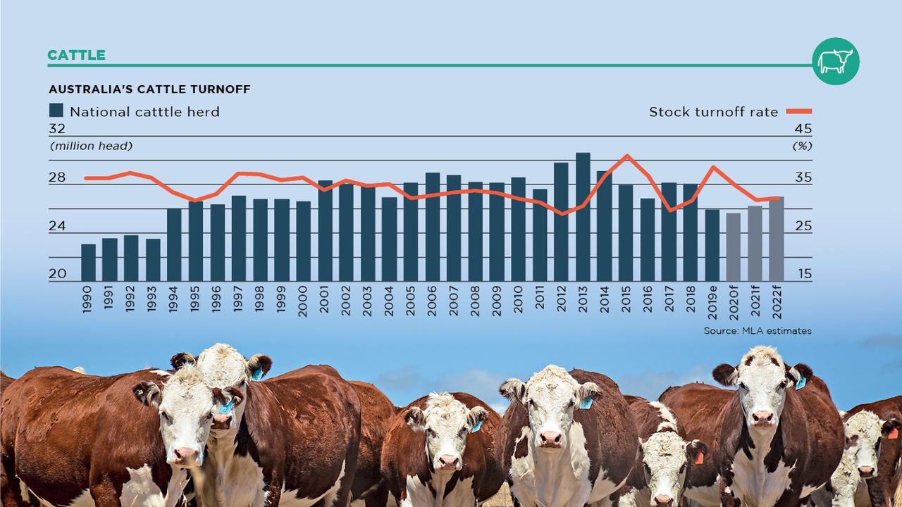 Agriculture commodities: Beef cull climbs while demand soars for non ...