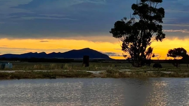 Flooded farmland near Kimba. Picture: Tara Kenny