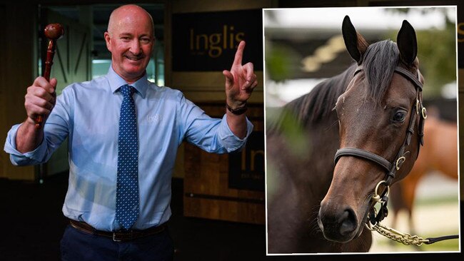 Inglis Chief Auctioneer Jonathon Darcy is the man who will sell the Winx filly. Pictures: Mews Corp