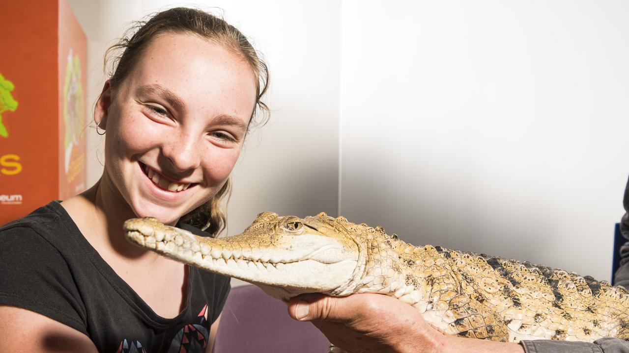 Claire Salmon is introduced to a Geckoes Wildlife fresh water crocodile at the World Science Festival Queensland community day at Cobb and Co Museum, Sunday, October 10, 2021. Picture: Kevin Farmer