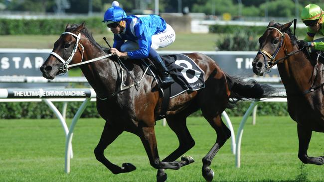 A supplied image obtained of Cox Plate winner Winx, with Hugh Bowman aboard, in her comeback win in the Group Two Apollo Stakes at Randwick, Saturday, Feb.13, 2016. (AAP Image/Steve Hart) NO ARCHIVING, EDITORIAL USE ONLY