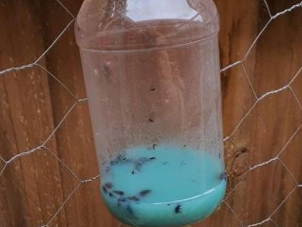 The rather disgusting-looking fly trap has been hailed as a lifesaver. Picture: Facebook/Bunnings Mums.
