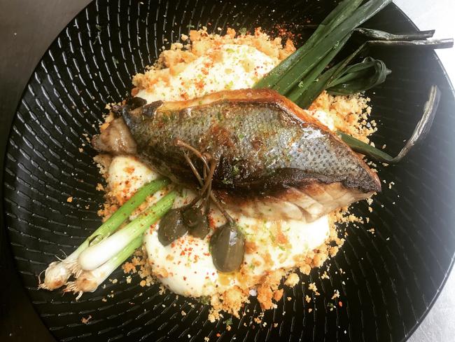 Fish of the day — blue eye — with potato foam, spring onion, parmesan crumb and caperberries. Picture: SUPPLIED.