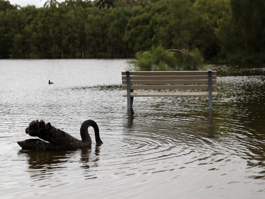 Pictured is the now flooded Busby's Pond in Centennial Park in Sydney following a major rain event across NSW. Picture: Richard Dobson