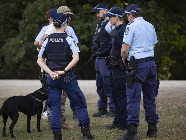 BYRON BAY, AUSTRALIA - JULY 22: A Police sniffer dog is seen on patrol during Splendour in the Grass 2023 on July 22, 2023 in Byron Bay, Australia. (Photo by Matt Jelonek/Getty Images)